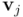 \mathbf{v}_j