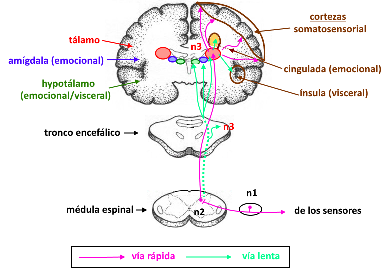 Index of /elcedazo/wp-content/uploads/2016/11