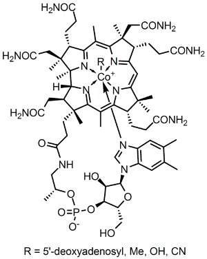 Cobalamina, bitamina B-12